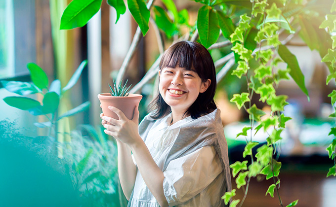 観葉植物